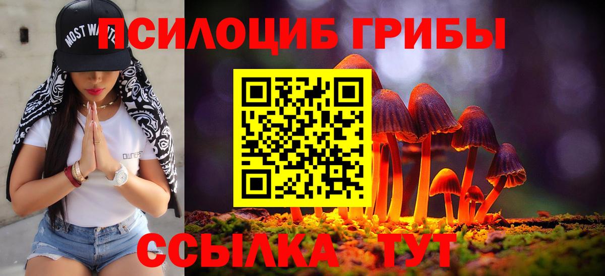 Дюртюли  Галлюциногенные грибы Psilocybe  Вход с VPN 