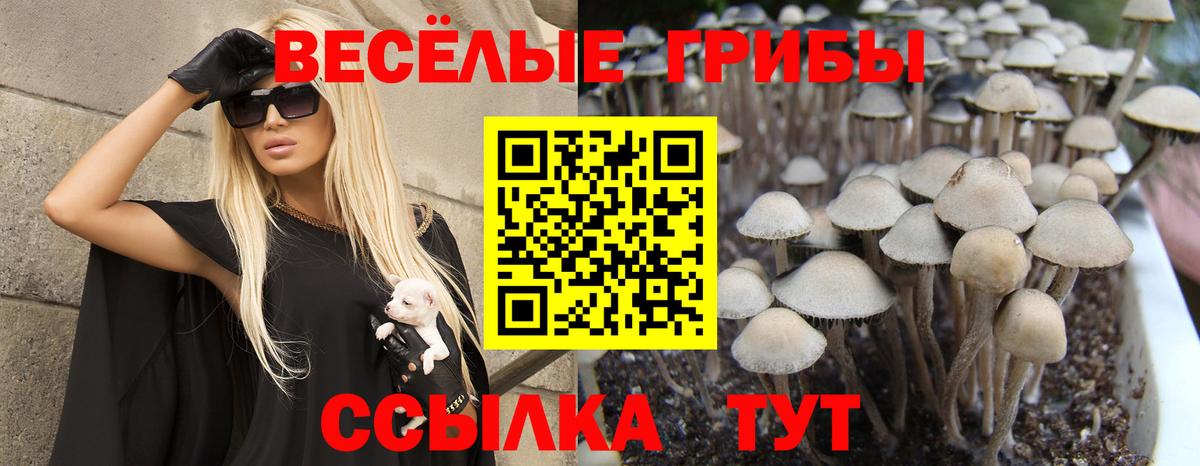 Псилоцибиновые грибы MAGIC MUSHROOMS Дюртюли